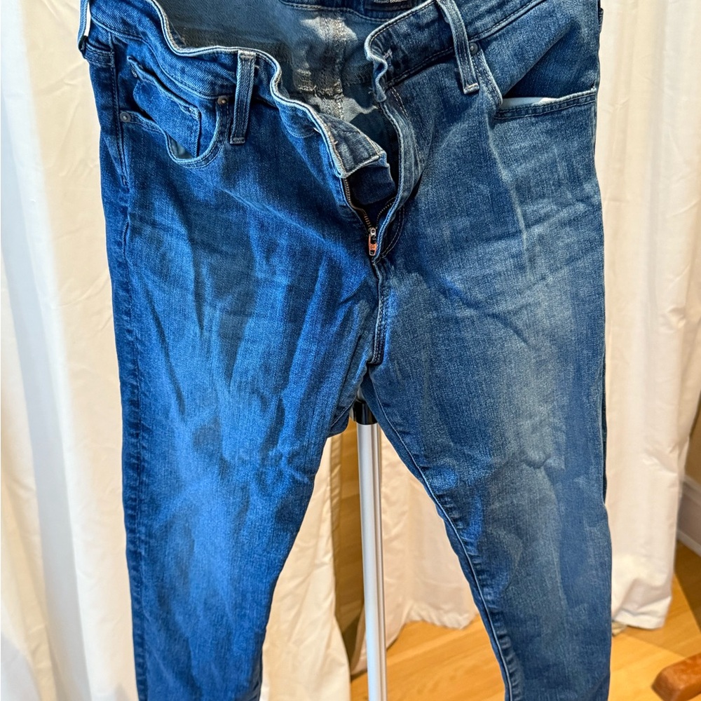 AG Adriano Goldschmied Farrah Skinny Ankle Indigo Skinny Jeans